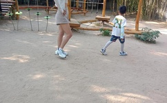 tpimage内部加密视频